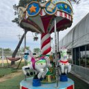 프리미어아레나승마클럽 이미지