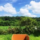 배동문농장 이미지