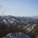 비어스 티스토리