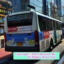 부영자동차공업사 이미지