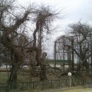 오류1리 이미지