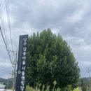 상주 감꽃마을 서울캠핑장 | [경북 상주] 상주 감꽃마을 서울캠핑장 사이트