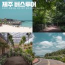 제주 버스투어 동쪽 코스 함덕해수욕장부터 비자림 섭지코지 보롬왓까지!
