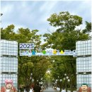 정부청사 입구(샘머리) | 대전 서구 아트 페스티벌 불꽃쇼, 가수 라인업