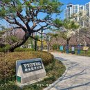 공원 | 대구 경상감영공원 방문후기 : 봄 풍경, 근처 맛집, 편의정보 등