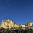 통나무엘린 | [일본 도쿄] 디즈니랜드