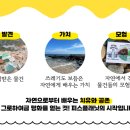 평화유리 이미지