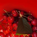 대련농장 이미지