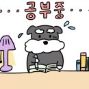 더씨엠