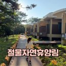 (주)자연과 사람들 | 제주 절물자연휴양림 숲속의집 6인실 후기 가격 내부시설 놀이터