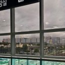 [주간 기록] 5월 넷째 주 GPC 교육 후기