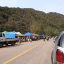 은행나무숲 입구 이미지