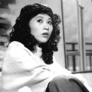별들의고향 - 강릉시 | 별들의고향