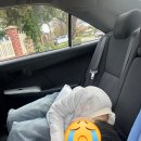 제일베스트캠핑카(주) | [2025] 서호주 캠핑카 로드트립 후기(퍼스 시내, 로트네스트섬, 쿼카)