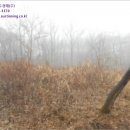 대전대덕구장동보건진료소 네이버블로그