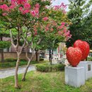 원대동 제일공원 이미지