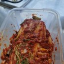 숲또래 협동조합 이미지