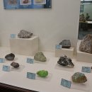 덕소자연사박물관 이미지