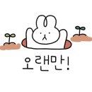 애플팜핑 이미지