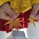 (주)동아스포츠수영장 이미지