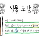 왓더플랜트