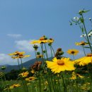 나루쉼터화장실 이미지