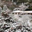 서정적인 이미지