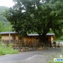 한실황토민박집 이미지