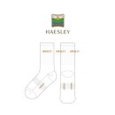 해슬리HAESLEY