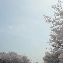 원두막농장