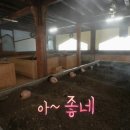 효소테라피 이미지