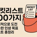 (주)소울테크 | 버킷리스트 100가지 | 현실적으로 도전 가능한 인생 목표 리스트 총정리
