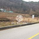 영월행정사사무소 이미지