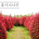 홍플레이스 이미지