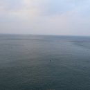 참돔이야기