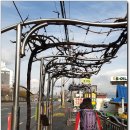 청림동-17 이미지