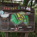 솔솔솔 다람쥐숲 유아숲체험원 이미지