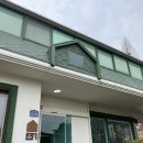 황금로 23번길 | 노트북 책읽기 좋은 경기도 김포 분위기 좋은 카페 추천, 숲속의 쌍방울 카페