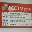 뽑신뽑왕 네이버블로그
