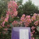 정근목장 이미지