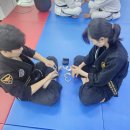 강무관 합기도 이미지