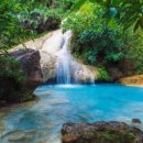 예쁜행복 이미지