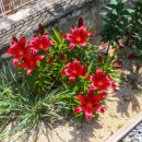 한옥펜션문 이미지