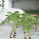 스마트도시농부협동조합 이미지