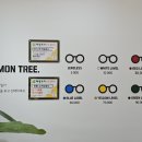 컴포트안경원 이미지