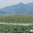 이은하공인중개사사무소 이미지