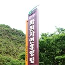 문경호 역양집 책판 | 2017.05.21 달성군 화원자연휴양림 인흥마을 남평문씨 본리(인흥)세거지 수봉정사(수백당) 회화나무 광거당