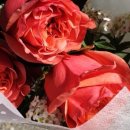 운정블라썸꽃집 이미지