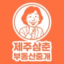 부동산 공경매(상가.토지) | 제주도 주택매매,토지매매 삼춘 부동산이 쉽게 알려줘요!