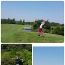 김대호 골프카페 이미지